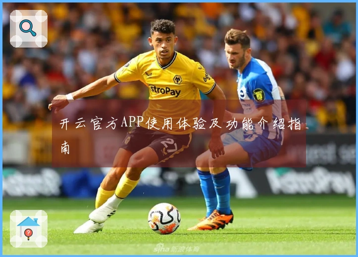 开云官方APP使用体验及功能介绍指南