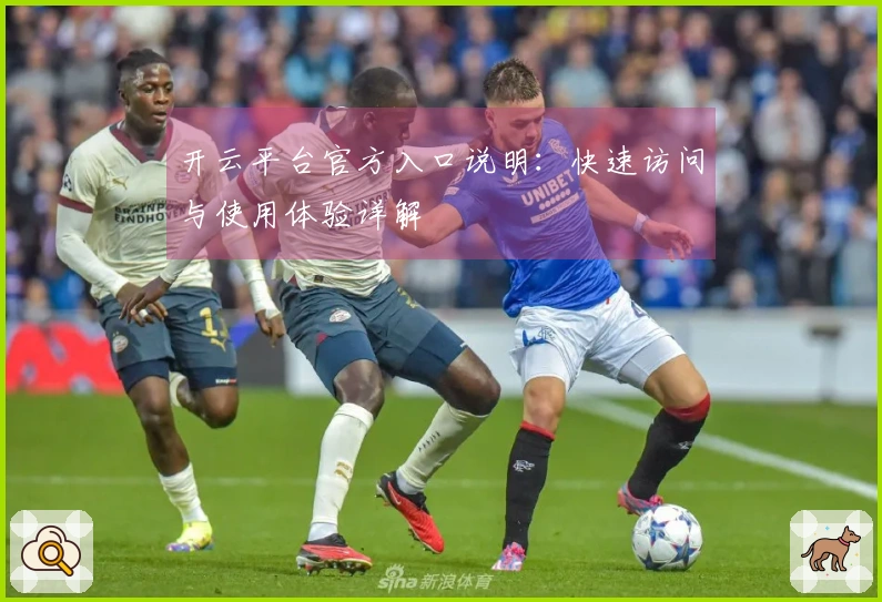 开云平台官方入口说明：快速访问与使用体验详解