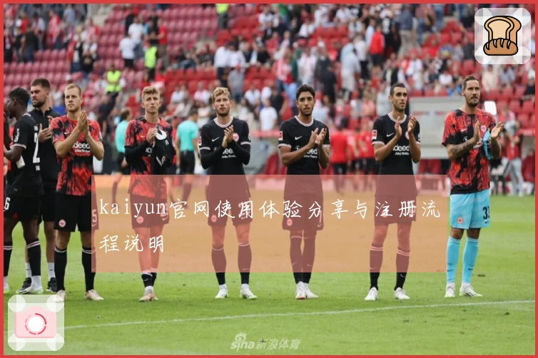 kaiyun官网使用体验分享与注册流程说明